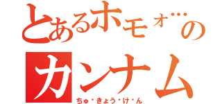 とあるホモォ…┌（┌ ＾ｏ＾）┐のカンナム市民（ちゅ〜きょう〜け〜ん）