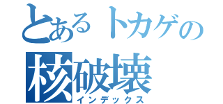 とあるトカゲの核破壊（インデックス）