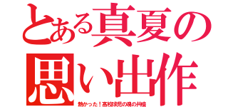 とある真夏の思い出作り（熱かった！高校球児の魂の共鳴）