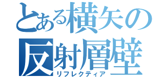 とある横矢の反射層壁（リフレクティア）