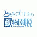 とあるゴリラの動物園脱走（とあるゴリラの脱走劇）