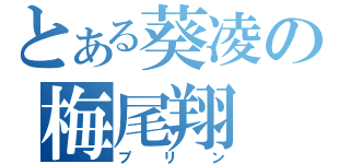 とある葵凌の梅尾翔（プリン）