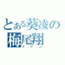 とある葵凌の梅尾翔（プリン）