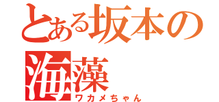 とある坂本の海藻（ワカメちゃん）