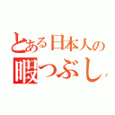 とある日本人の暇つぶし（）