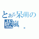 とある呆萌の藍嵐（貓咪控）