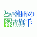 とある湘南の緑青旗手（バンディエラ）