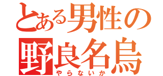 とある男性の野良名烏賊（やらないか）