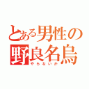 とある男性の野良名烏賊（やらないか）