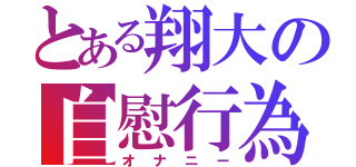 とある翔大の自慰行為（オナニー）