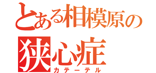 とある相模原の狭心症（カテーテル）