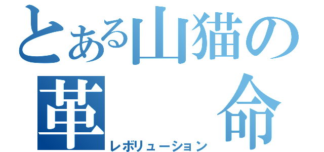 とある山猫の革　　命（レボリューション）