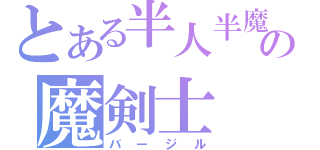 とある半人半魔の魔剣士（バージル）