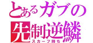 とあるガブの先制逆鱗（スカーフ持ち）