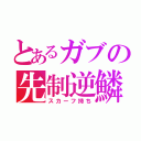 とあるガブの先制逆鱗（スカーフ持ち）