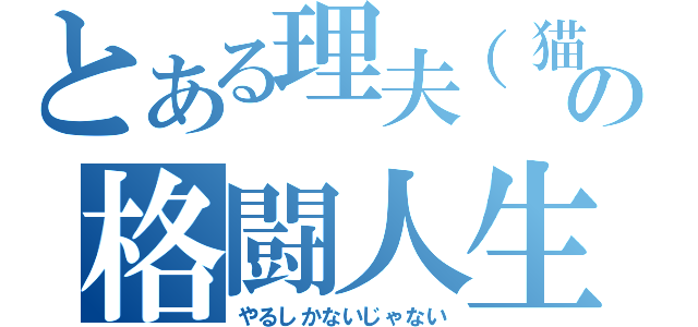 とある理夫（猫）の格闘人生（やるしかないじゃない）