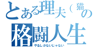 とある理夫（猫）の格闘人生（やるしかないじゃない）