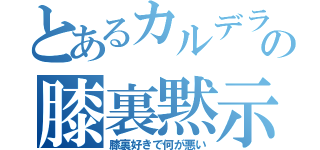 とあるカルデラの膝裏黙示録（膝裏好きで何が悪い）