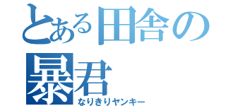 とある田舎の暴君（なりきりヤンキー）