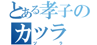 とある孝子のカツラ（ヅラ）