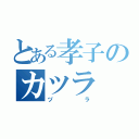 とある孝子のカツラ（ヅラ）