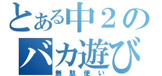 とある中２のバカ遊び（無駄使い）