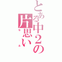 とある中２の片思い（セ　　ル）