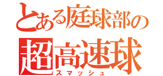 とある庭球部の超高速球（スマッシュ）