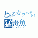 とあるカワハギ科の猛毒魚（ソウシハギ）