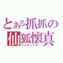 とある抓抓の仙狐懷真（インデックス❤）