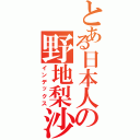 とある日本人の野地梨沙（インデックス）