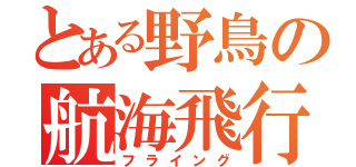 とある野鳥の航海飛行（フライング）