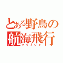 とある野鳥の航海飛行（フライング）