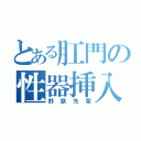 とある肛門の性器挿入（野獣先輩）