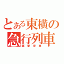 とある東横の急行列車（隔駅停車）