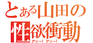 とある山田の性欲衝動（アッー！アッー！）