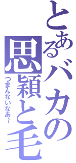 とあるバカの思穎と毛眈（つまんないなあ～）