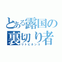 とある露国の裏切り者（リトビネンコ）