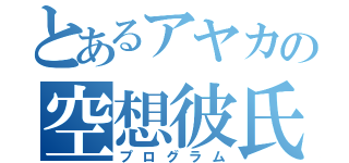 とあるアヤカの空想彼氏（プログラム）