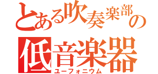 とある吹奏楽部の低音楽器（ユーフォニウム）