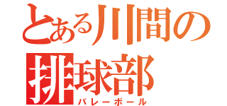 とある川間の排球部（バレーボール）