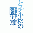 とある小松のはげ頭（イワタ）