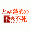 とある蓬莱の不老不死（藤原妹紅）