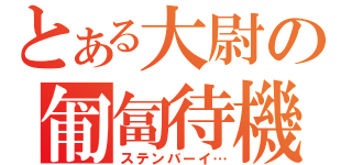 とある大尉の匍匐待機（ステンバーイ…）