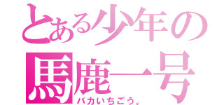 とある少年の馬鹿一号（バカいちごう。）