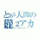 とある人間の第２アカ（シークレット）