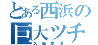 とある西浜の巨大ツチノコ（久保康明）