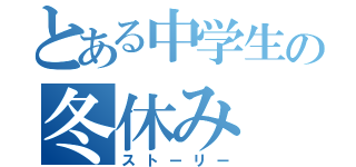 とある中学生の冬休み（ストーリー）