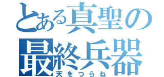 とある真聖の最終兵器（天をつらね）