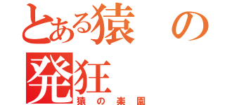 とある猿の発狂（猿の楽園）